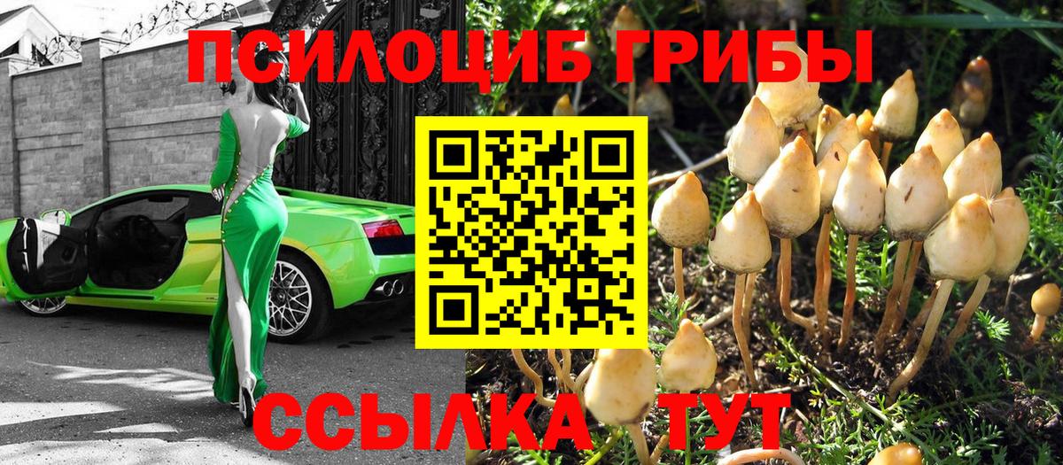 Псилоцибиновые грибы мицелий Магадан