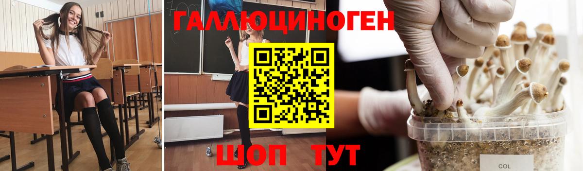 где купить   Псилоцибиновые грибы мухоморы  Вход с VPN  Магадан  Галлюциногенные грибы Psilocybe 